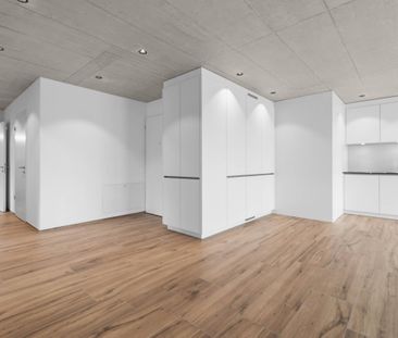 Erstvermietung: Grosse Flächen, wohnen mit viel Raum - Photo 3