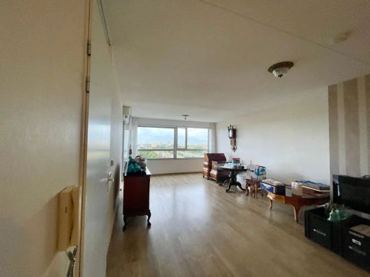 Appartement de deux pièces Prinsenhof, Leidschendam - À louer - Foto 1