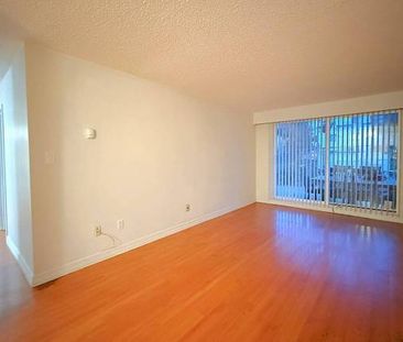 Spacious 1 bedroom 1 bathroom Downtown Maple Ridge - Photo 2