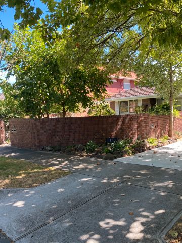 1/24 Allenby Road, Canterbury - Photo 5