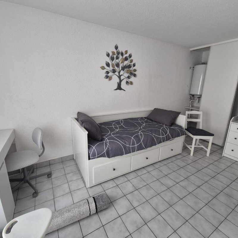 Location Appartement 1 pièce Meublé 22m² NANCY 54000 - Photo 2