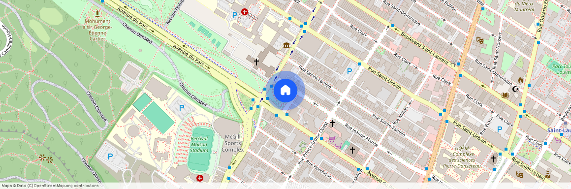 3722 Rue Jeanne-Mance H2X2K5, Montreal