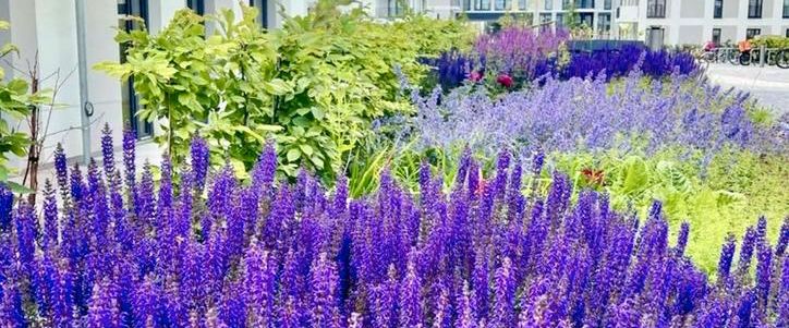 Nachmieter gesucht, Neubau, 1 Zimmer, Spandau Berlin, Mietwohnung - Foto 1