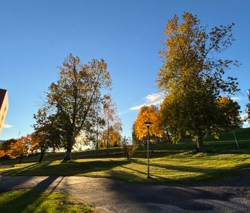 Axvägen 17 - Photo 2