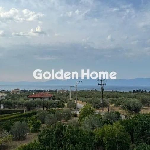 Συγκρότημα για ενοικίαση Ανθηδόνα (Ανθηδώνος) - Photo 1