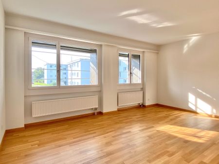 3.5 Zimmerwohnung in Obfelden zu vermieten! - Photo 3