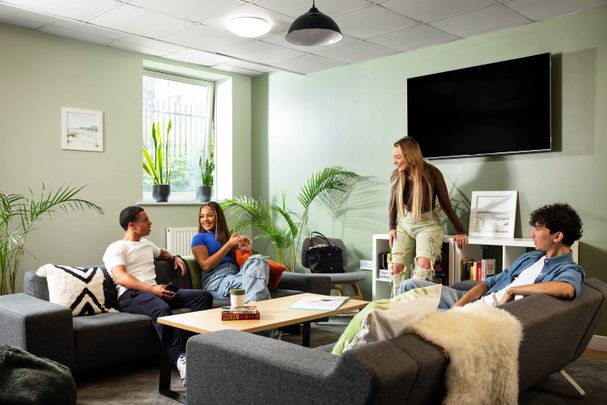 Extra Large Standard Double Studio - Photo 1