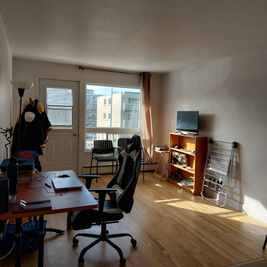 3 1/2 lumineux près de l’Université Laval / Cégep St-foy – Cessation de bail (janvier au 30 Juin 2026) renouvelable - Photo 1