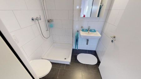 Cozy attic apartment in the center of Illnau - Photo 4