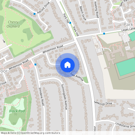 Tulip Tree Avenue, Kenilworth