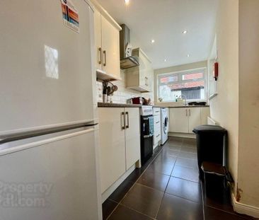 20 Sandhurst Gardens, Belfast, BT9 5AW - Photo 6