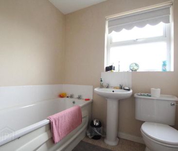 22A Derrylodge Manor, Lurgan, BT66 6RY - Photo 4