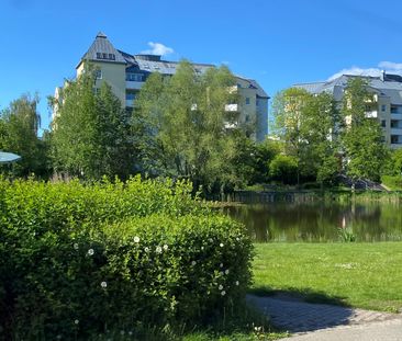 1-Zimmer-Wohnung mit Aufzug und Balkon in Rostock-Toitenwinkel - Foto 3