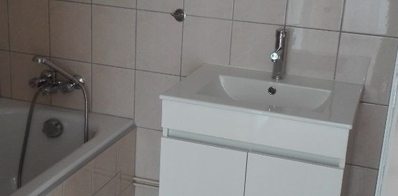 Joli T2 entièrement rénové - Photo 2