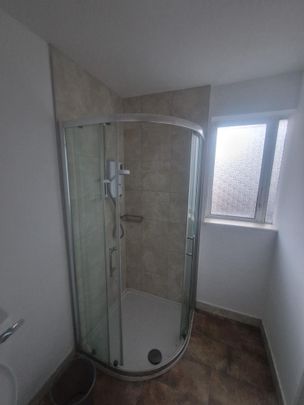 3 Mount Pleasant, College Road, Western Road, Cork - Photo 1