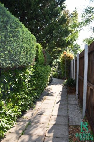 Wunderschöne, sonnige Wohnung mit französischem Balkon – Blick ins Grüne – Garten – Stellplatz! Auch als Privatordination geeignet! - Photo 5