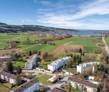 Apartment with large roof terrace - Photo 3