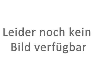 Dr.Schauerstr.6a, DG: Zentral gelegene, renovierte 3-Zimmerwohnung ... - Photo 1