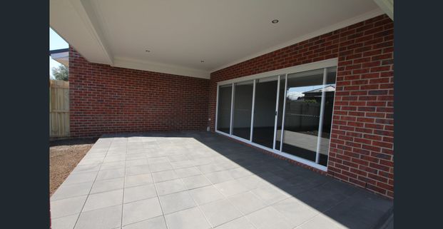 Grand in Size and Quality - Photo 1