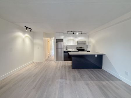 For Lease - 678 Queen Street Unit# Unit 2, Toronto, Ontario - Photo 3
