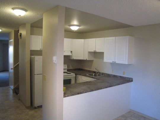 Riverdale Place Townhouse Rentals - Photo 1