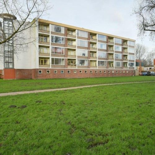 Leverkruidweg 0ong, 1508 WP Zaandam, Nederland - Photo 1