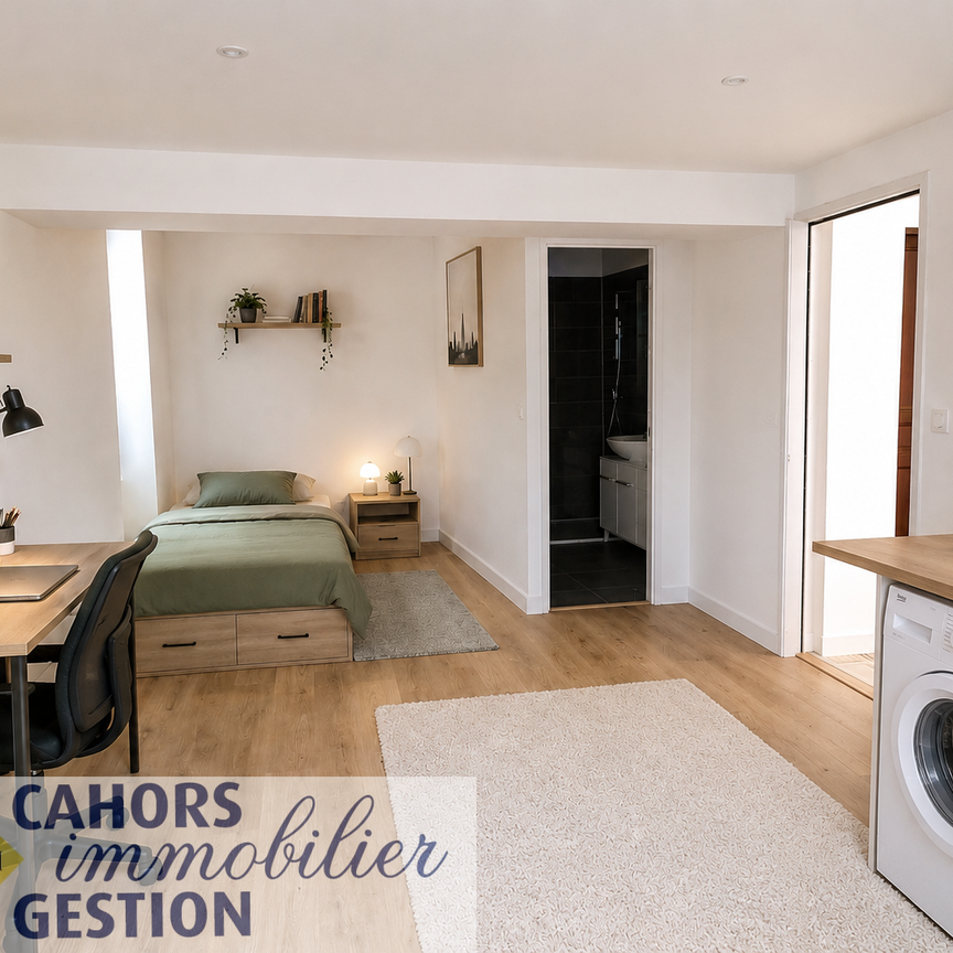 Location Appartement 1 pièce 24m² CAHORS 46000 - Photo 1