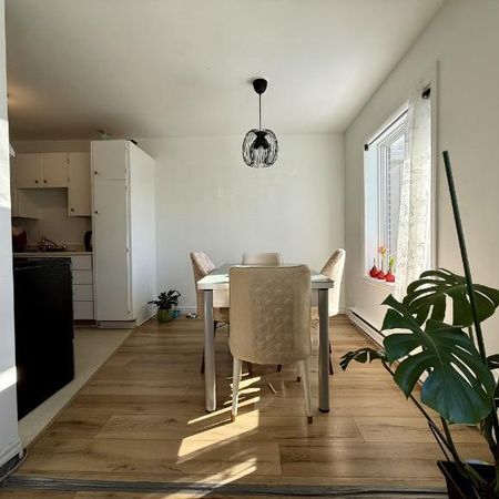 Appartement 4 ½ à louer Lévis juillet 2026 - Photo 4