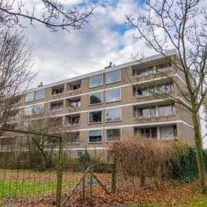 Apartment Leiden - Cesar Franckstraat - Photo 3