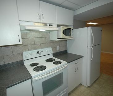 Convenient 2-Bed Basement Suite in Mayfield area - Photo 2