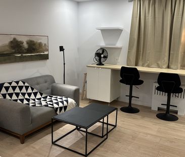 Charmant Studio, Plateau Mont-Royal - Photo 3