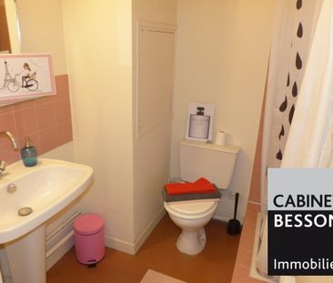 Location Appartement 1 pièce 17m² GRENOBLE 38000 - Photo 3