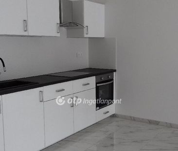 Belváros, Hajdú-Bihar, 4024, Debrecen - Fotó 6
