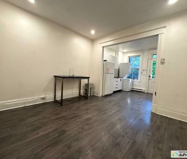 6042, avenue Du Parc, Le Plateau-Mont-Royal à louer - Photo 2