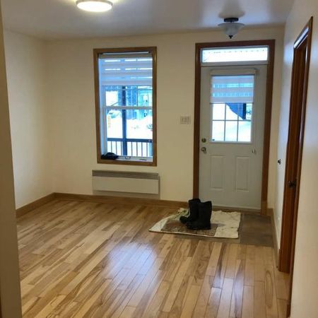 Logement 5 1/2 rénové à louer dans un duplex à St-Sacrement - Photo 3