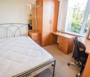 Gorsecliff Road, Winton - Photo 2