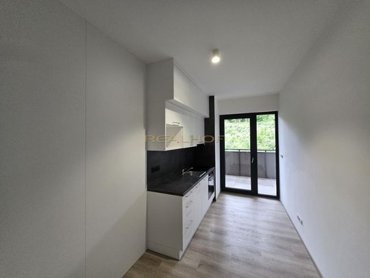 Pronájem bytu 1+1 39 m², Kleštínek , Brno - Photo 1