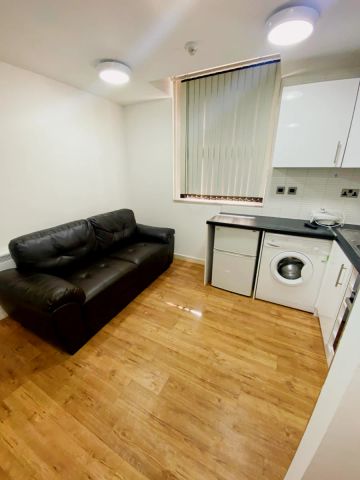 Deluxe studio with washing machine - Photo 5