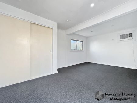 20 Norman Street, Waratah West - Photo 2