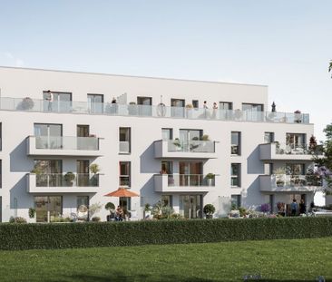 Appartement T2 à louer Pont Pean - 40 m² - Photo 3