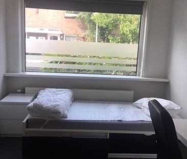 Wilgenroosstraat - Foto 4