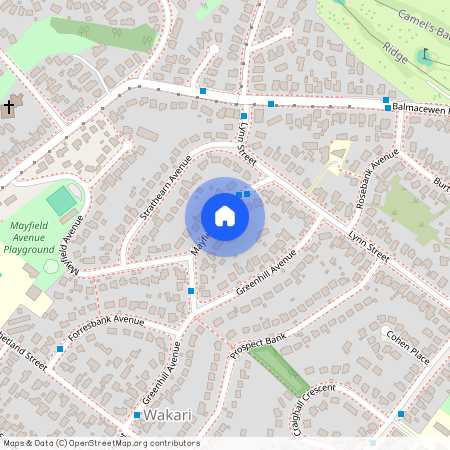 58 Mayfield Avenue, Wakari, Dunedin City