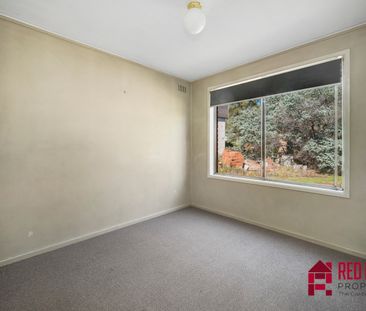 7 Mertz Place, Mawson ACT 2607 - House For Rent | Domain - Photo 4