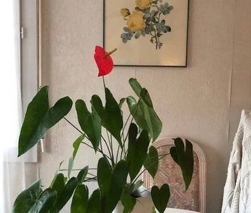 CANNES - CHAMBRE MEUBLE AVEC SALLE DE BAIN PRIVATIVE - Photo 4