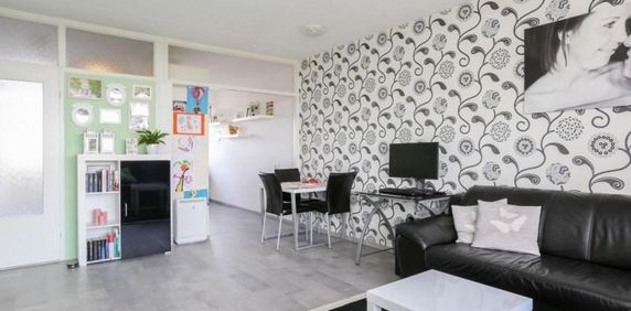 Europalaan, 5042 Tilburg, Nederland - Photo 2