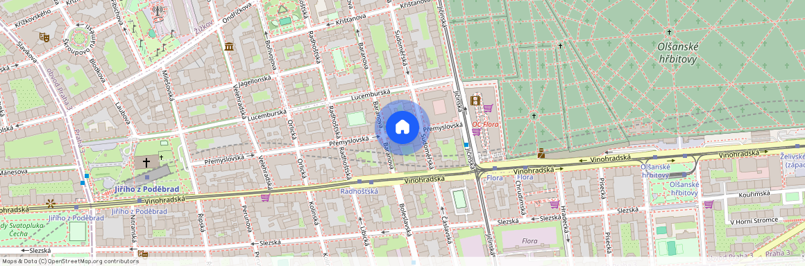 Přemyslovská, Praha 3 - Žižkov