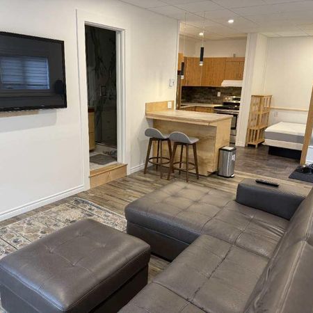 Loft meublé haut de gamme à louer – secteur recherché de Sherbrooke - Photo 4