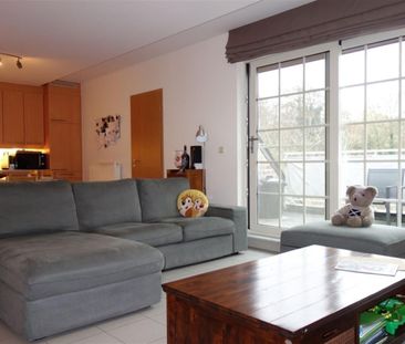 Appartement te huur in Rumst - Foto 4
