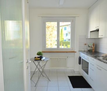 Schöne und charmante Wohnung sucht neuen Mieter! - Foto 2