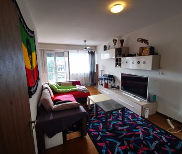 Helles 2.5-Zimmer-Apartment in Bellinzona - Foto 1